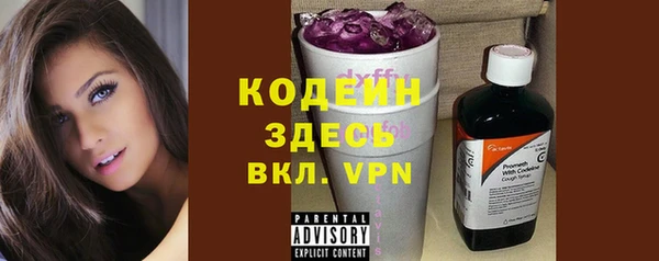 дмт Горнозаводск