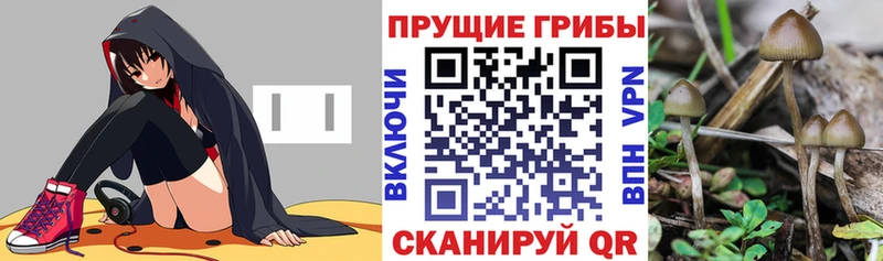 где купить наркотик  Новомосковск  Галлюциногенные грибы ЛСД 